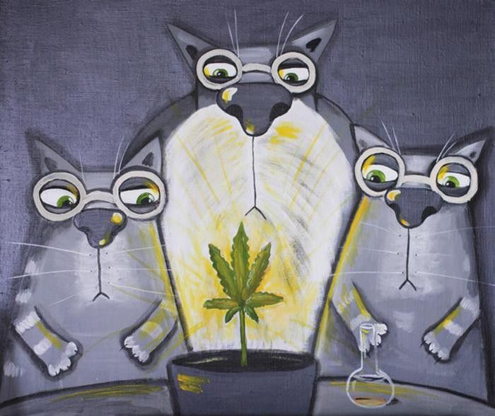 Влияет ли марихуана на память?