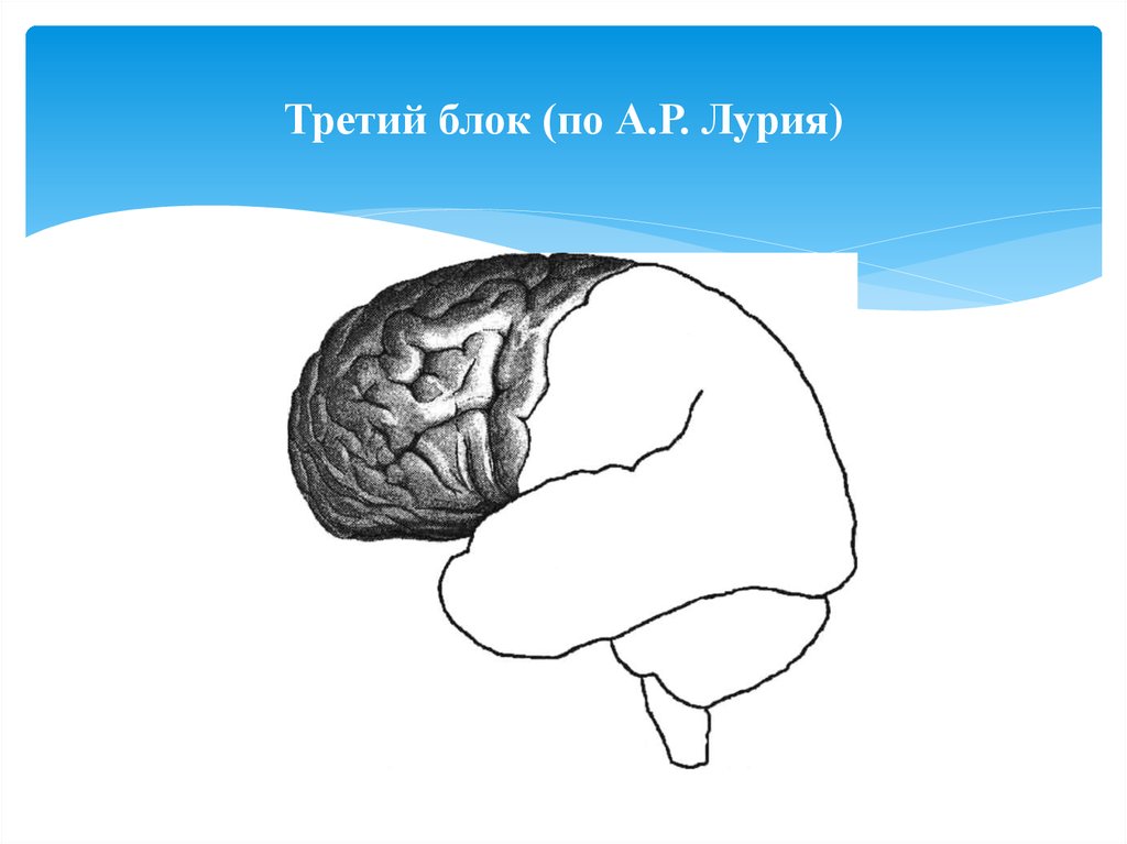 Рисунок 2 3 блок